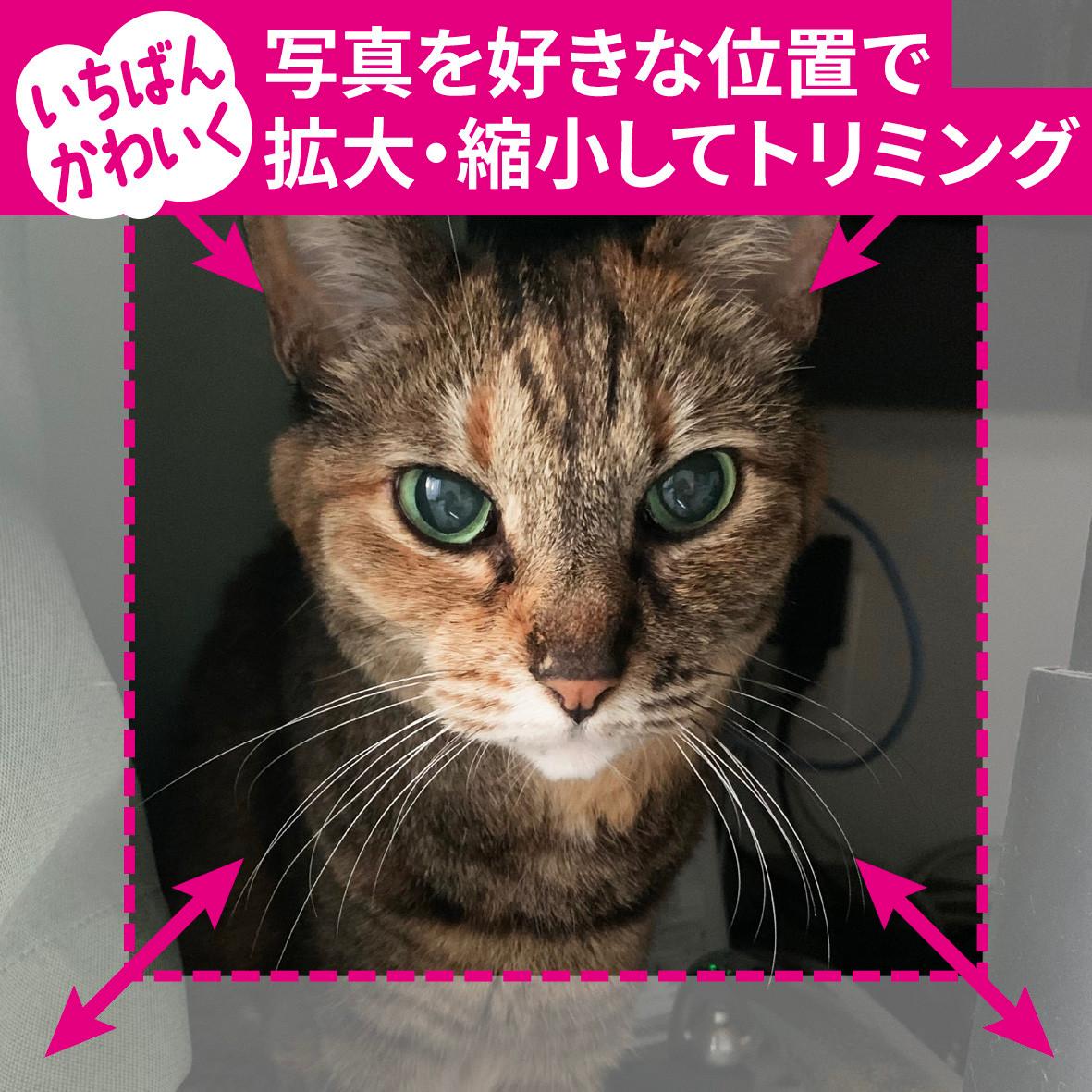 〔SSM〕送料無料　天使の羽と王冠　フォトパネル　自分でデザイン出来るフォトパネル（正方形） | 3枚目