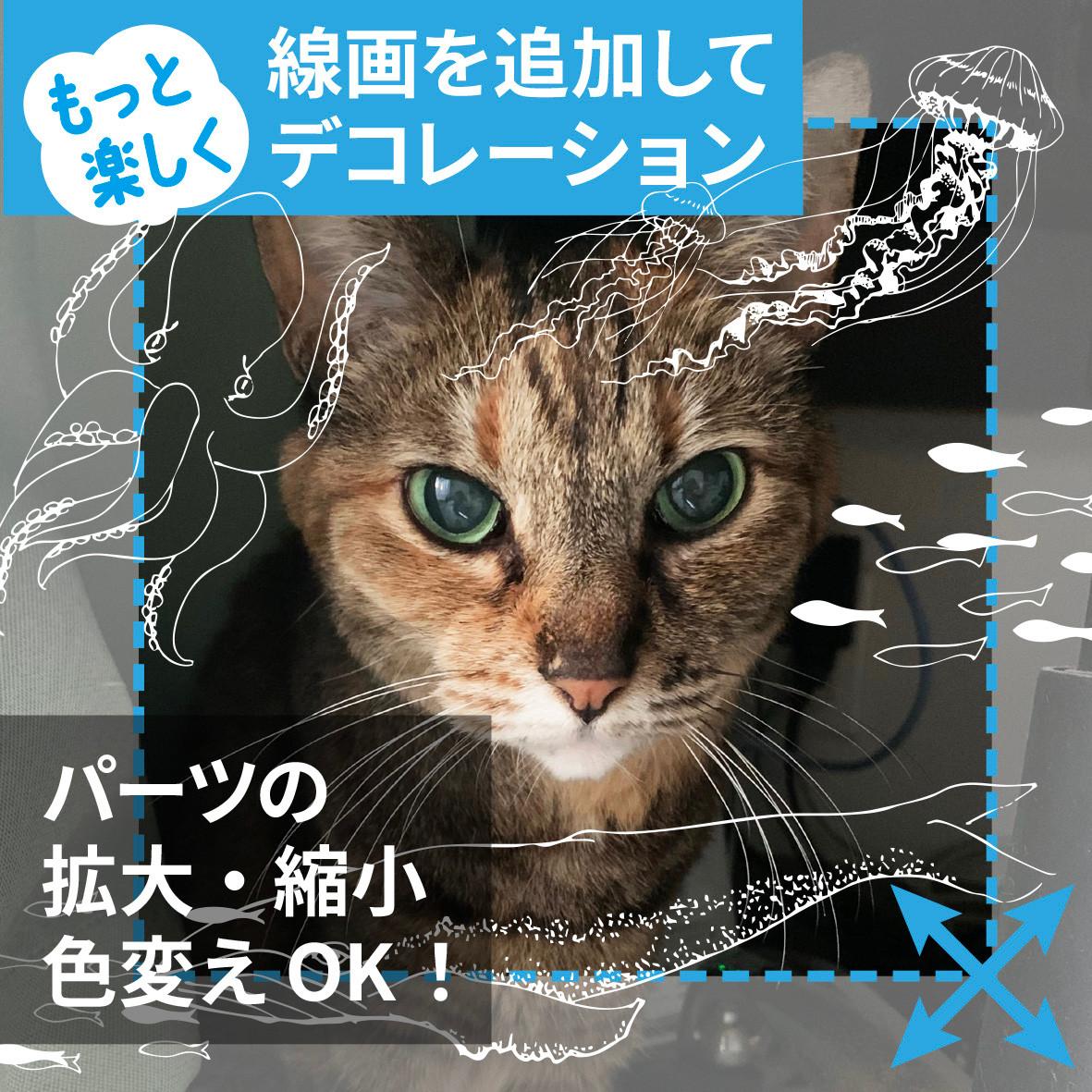 〔SSM〕送料無料　天使の羽と王冠　フォトパネル　自分でデザイン出来るフォトパネル（正方形） | 4枚目