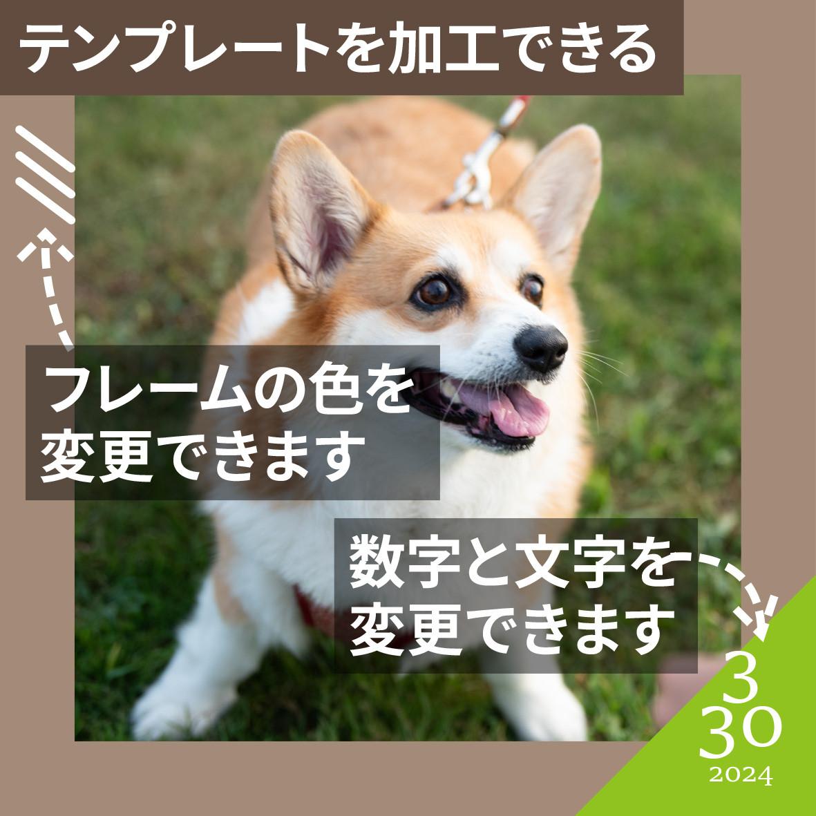 〔A4〕〔送料無料〕　天使の羽・王冠　フォトパネル　自分でデザイン出来るフォトパネル（長方形） | 2枚目